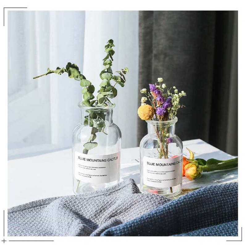 Minimalist Clear Glass Bottle Vase, 4 Sizes