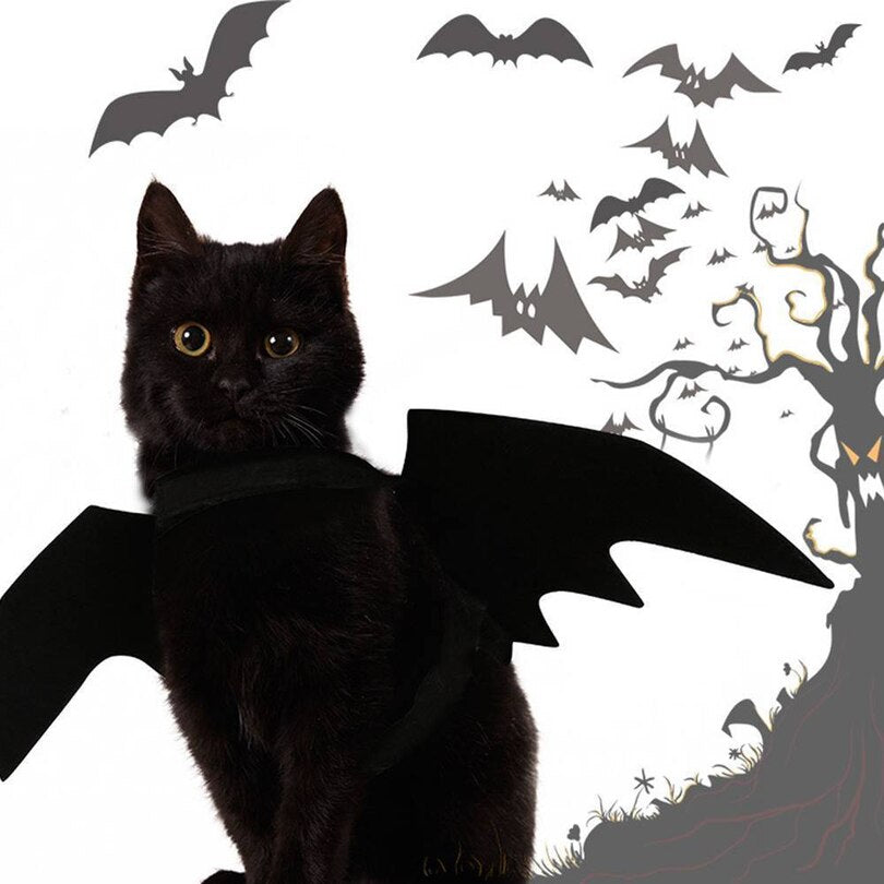 Adjustable Felt Bat Wings Costume for Cats by HitMyNeed