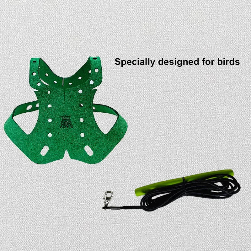 Adjustable Parrot and Pigeon Harness with Leash green straps-and-5m-rope by HitMyNeed