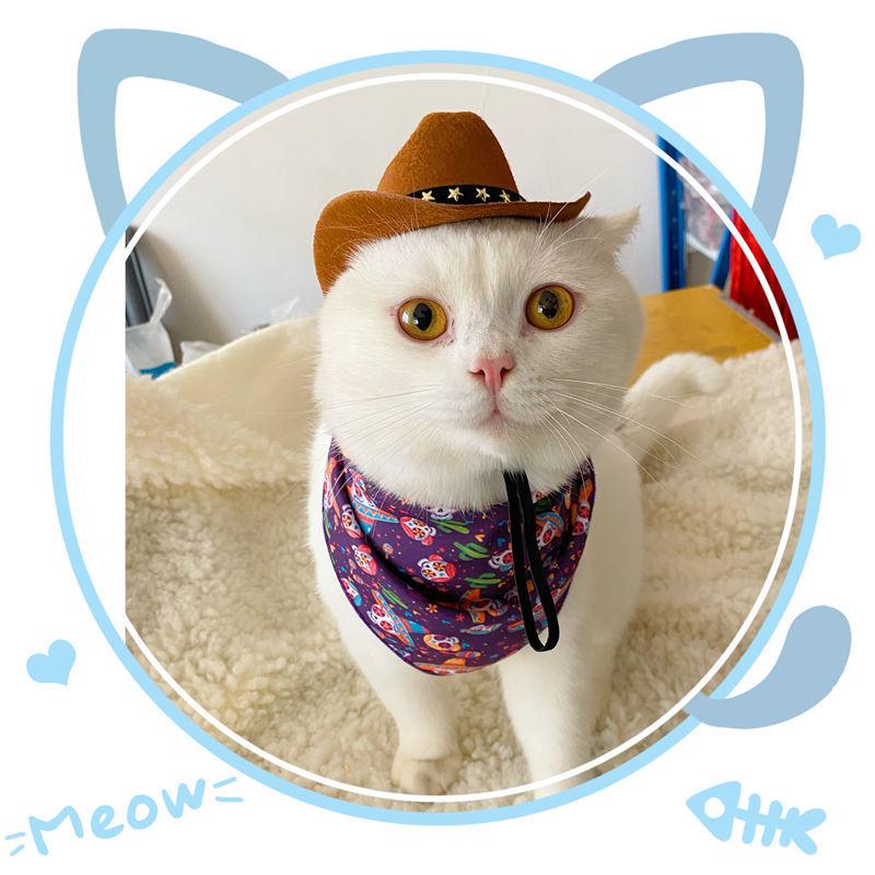 Brown Adjustable Cat Cowboy Hat by HitMyNeed