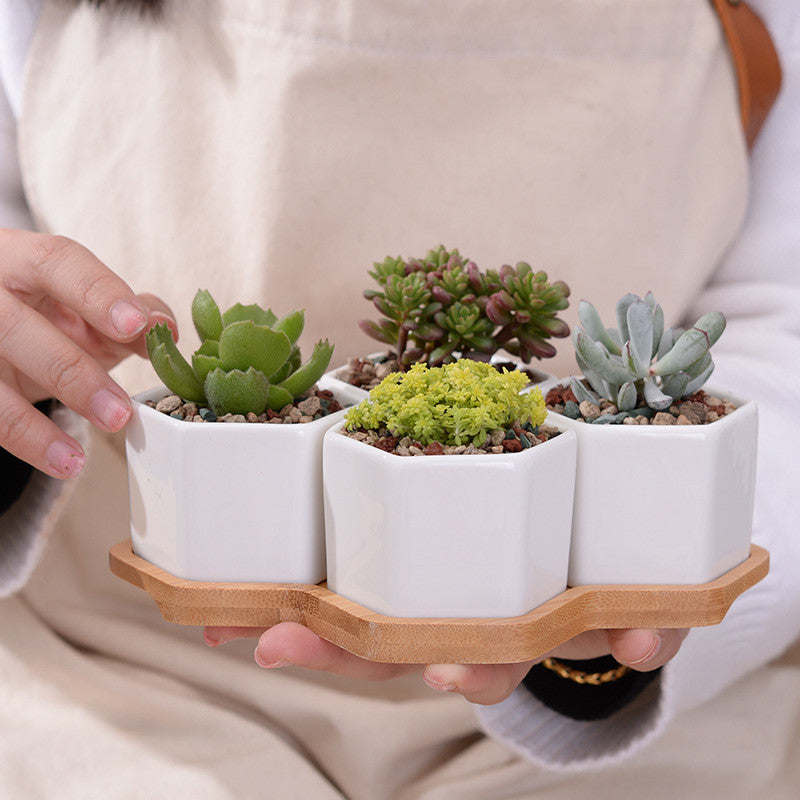Ceramic Succulent Planter Set with Bamboo Tray (4pcs) by HitMyNeed