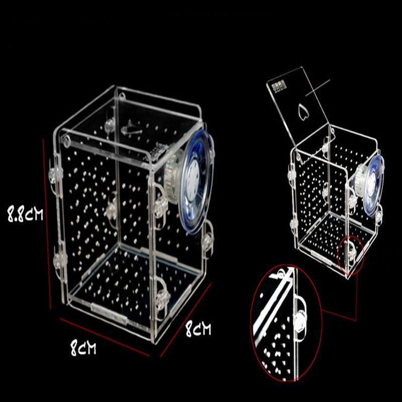 Clear Acrylic Aquarium Isolation and Breeding Box by HitMyNeed
