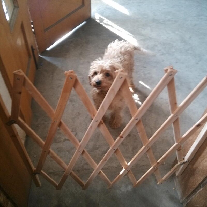 Collapsible Wooden Dog Fence Gate Barrier by HitMyNeed