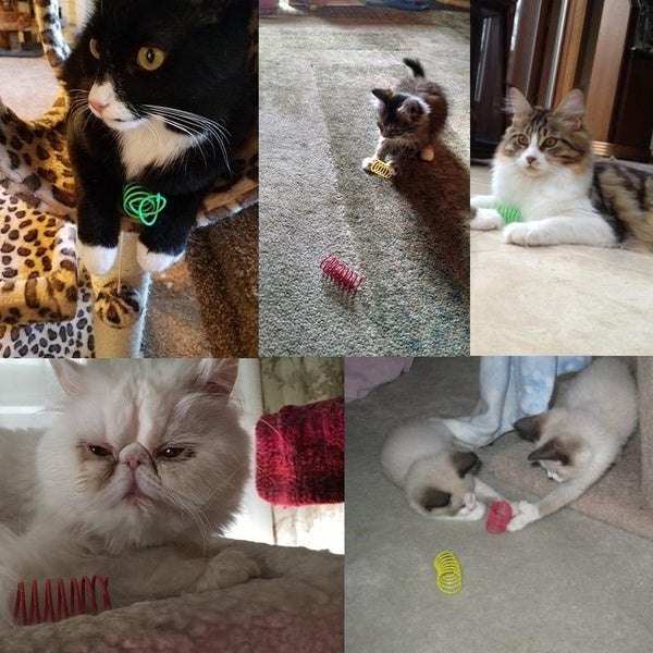 Colorful Spring Cat Toys, 20-Pack by HitMyNeed
