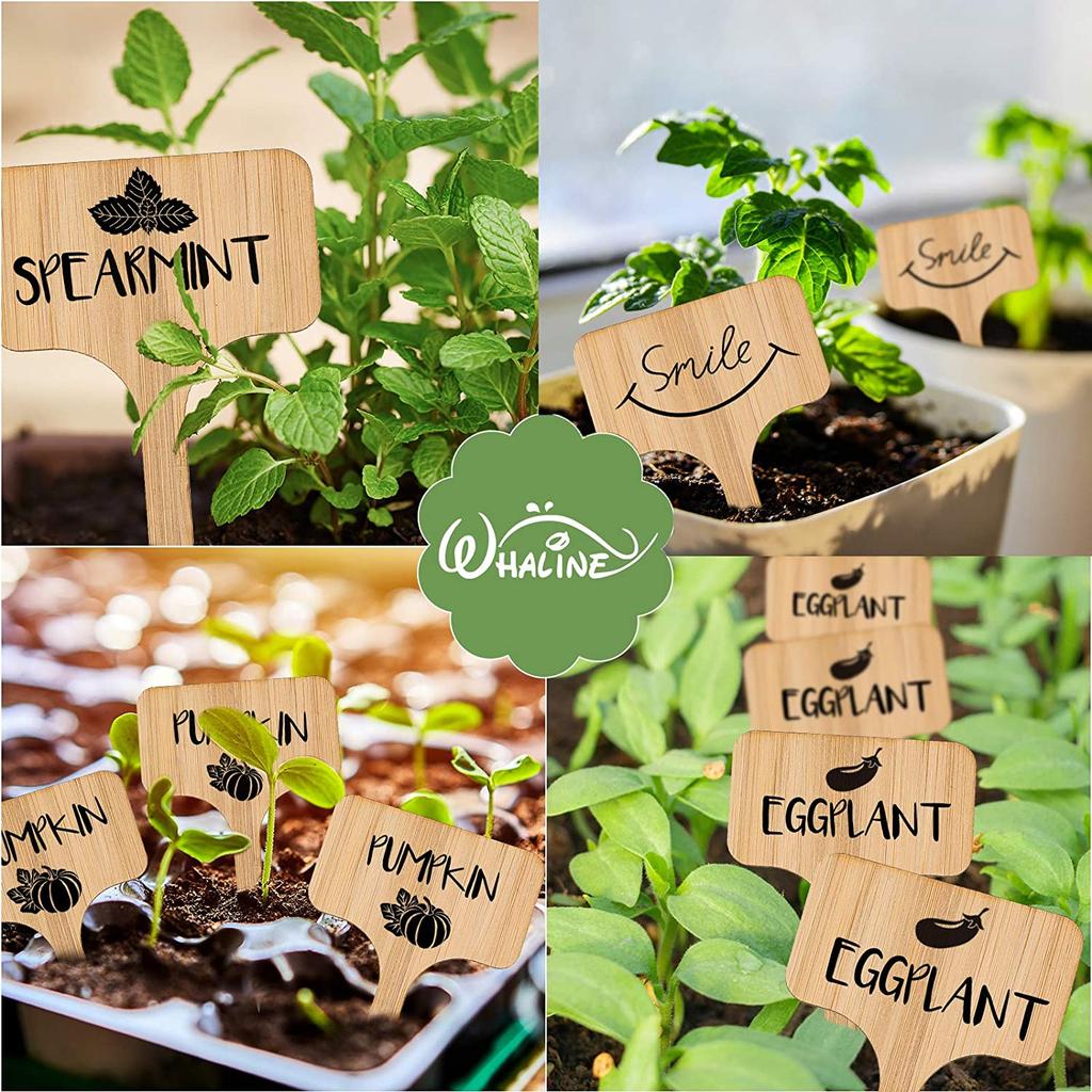 Eco Friendly Bamboo Plant Labels with Marker, 20pcs by HitMyNeed