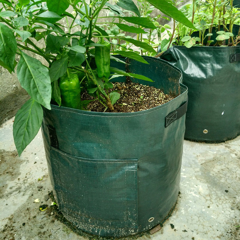 Farming Grow Bags for Vegetables, Herbs & Flowers by HitMyNeed