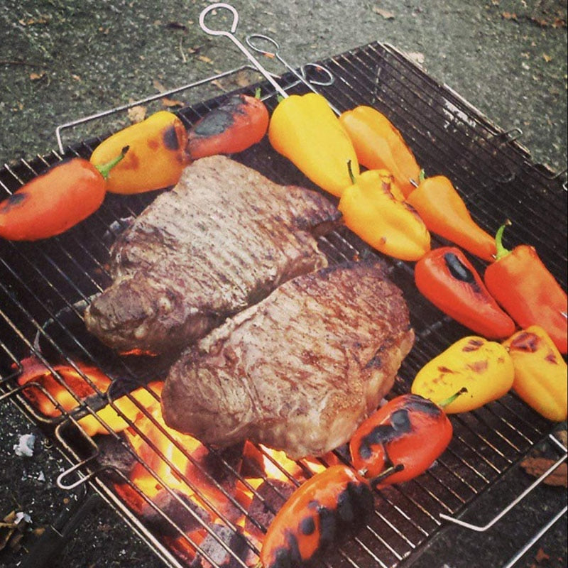 Foldable Stainless Steel Portable Camping Grill by HitMyNeed