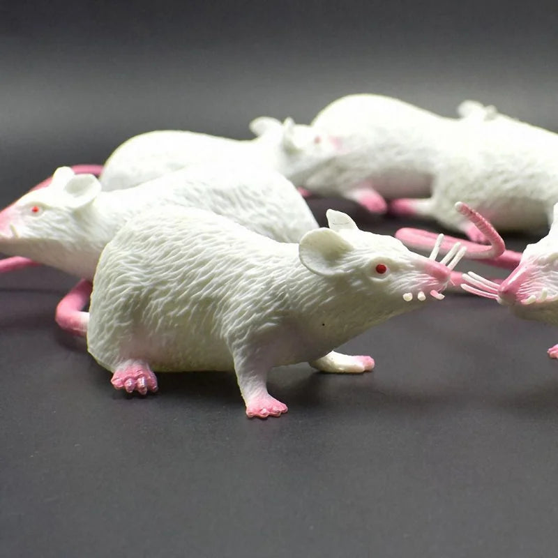 Lifelike Fake Rat Prank Toy for Halloween & Jokes by HitMyNeed