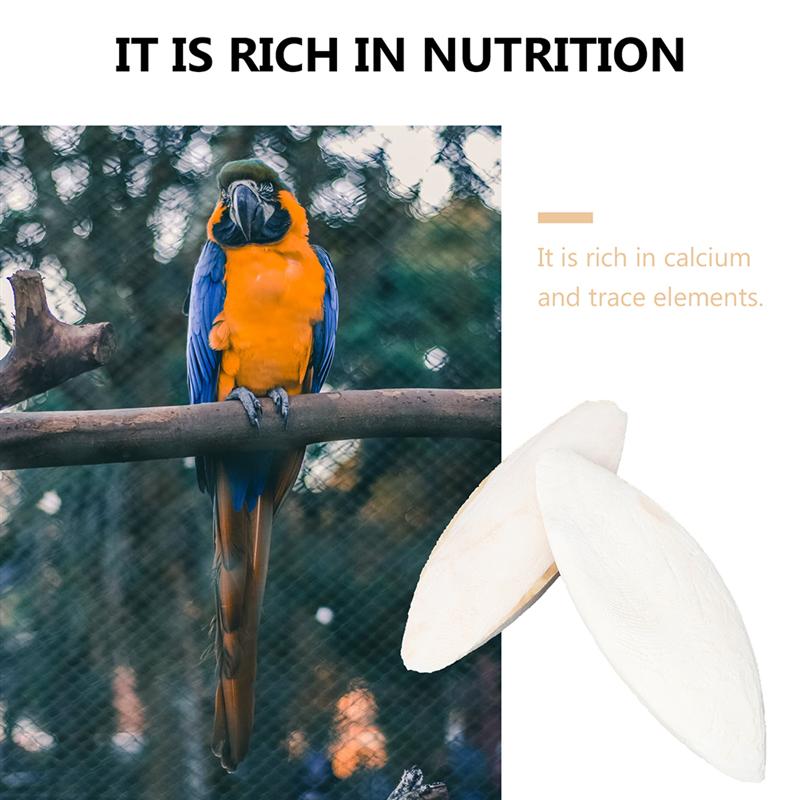 Natural Bird Cuttlebones Chew Toys, 10 Pack by HitMyNeed