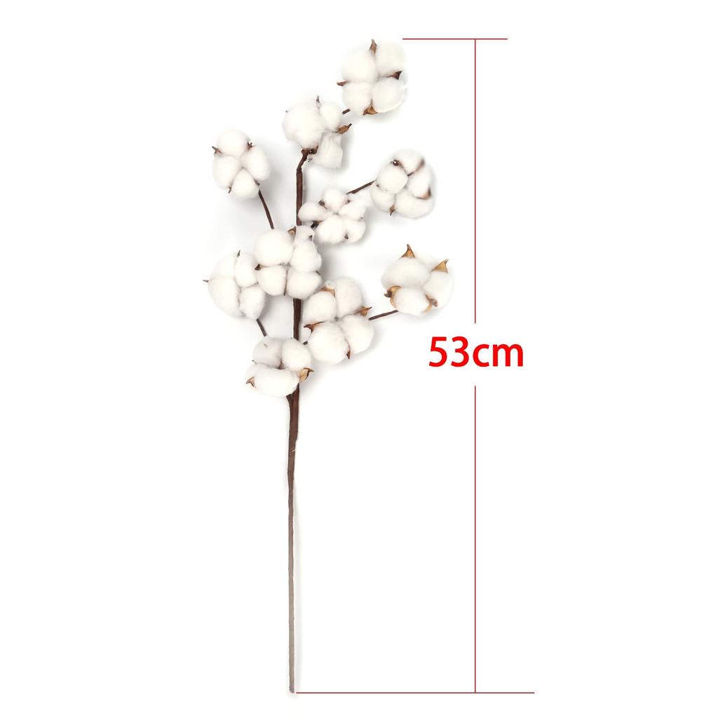 Naturally Dried Cotton Stem Home Decoration by HitMyNeed