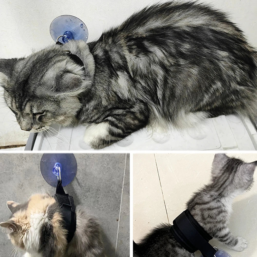 Pet Bath Fixation Strap with Suction Cup Leash by HitMyNeed