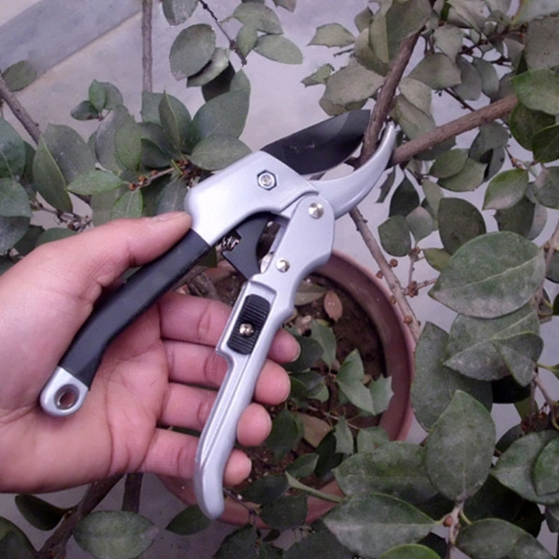 Plant Clipper Garden Pruning Shears 8 Inch by HitMyNeed
