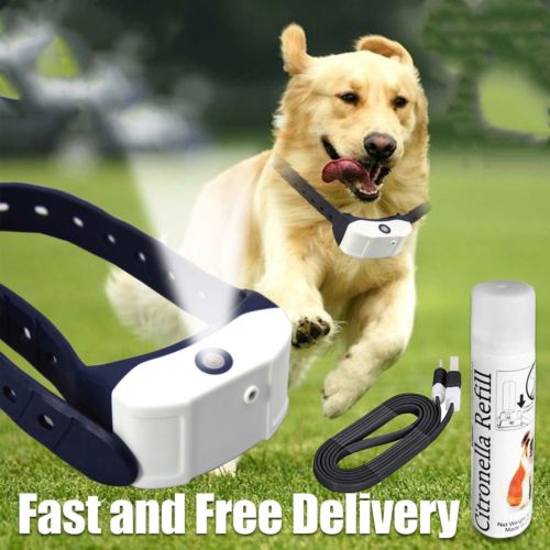 Rechargeable Citronella Anti Bark Spray Dog Collar by HitMyNeed