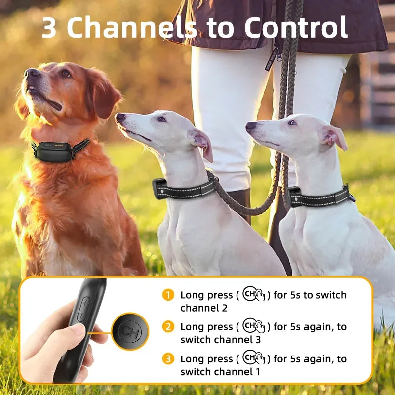 Rechargeable Waterproof Electric Dog Training Collar by HitMyNeed