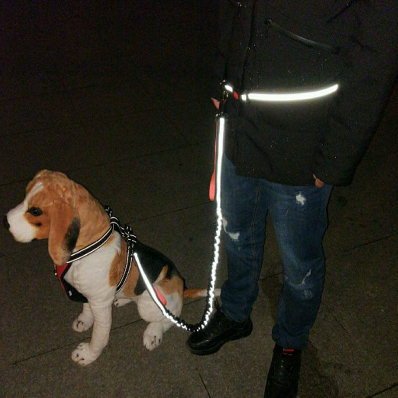 Reflective Hands-Free Dog Jogging Leash Set by HitMyNeed