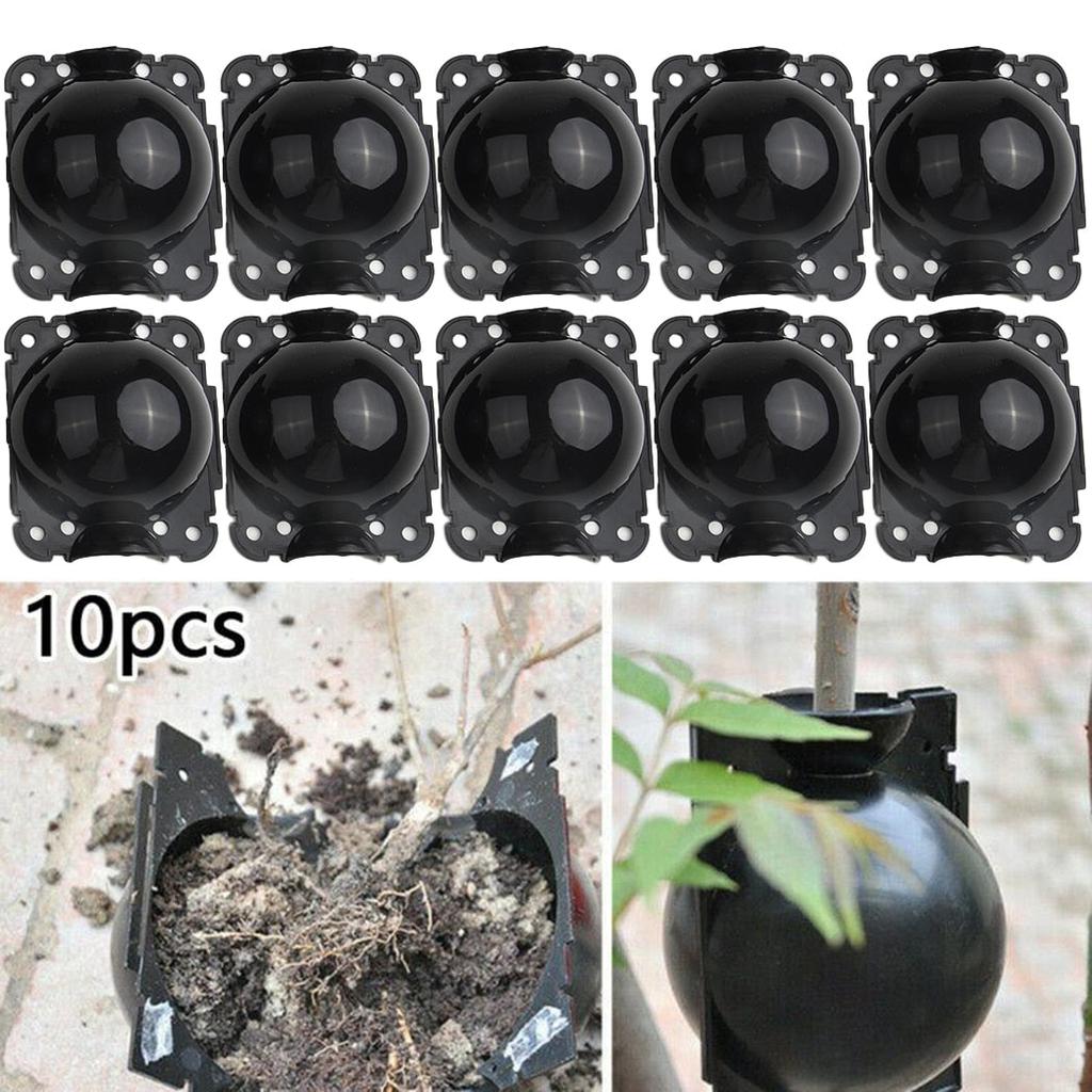 Rooting Plant Propagation Balls, 5cm (Pack of 10) by HitMyNeed