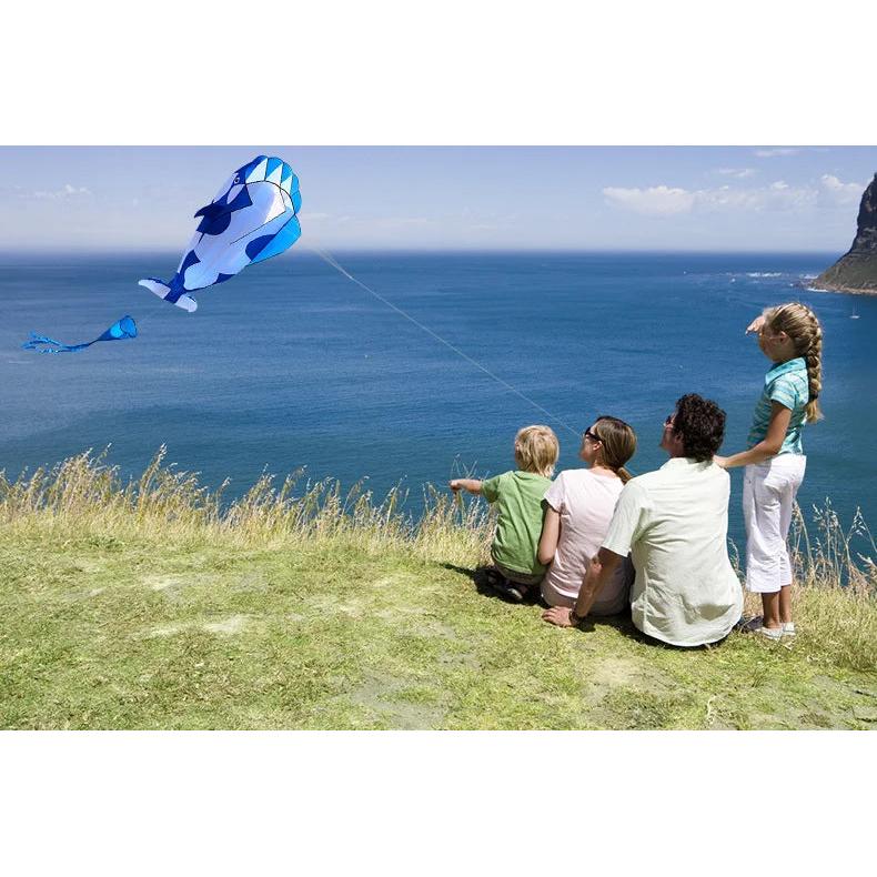 Single Line Whale Kite with Handle and String by HitMyNeed