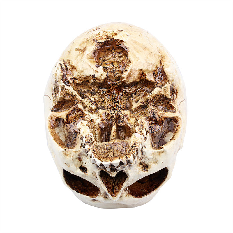 Skull Resin Sculpture Multifunctional Decor Pot by HitMyNeed