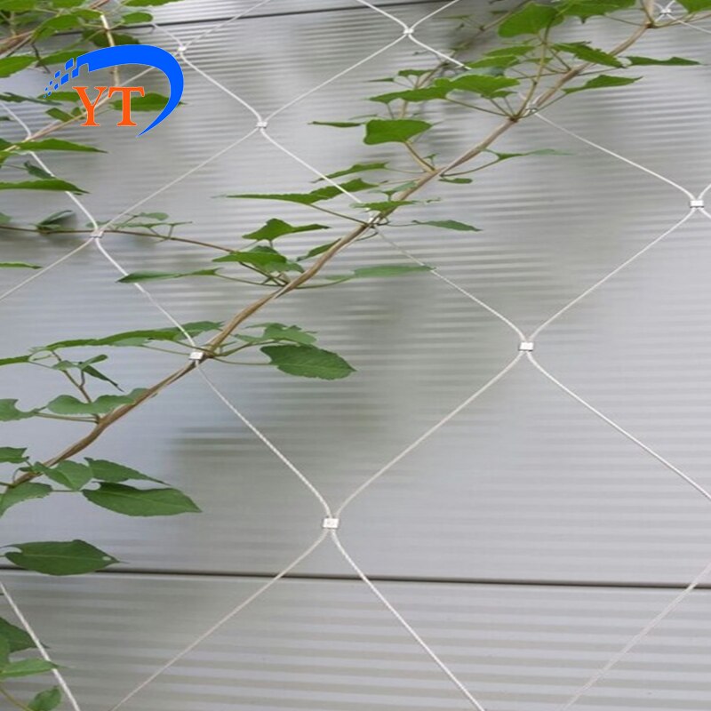 Stainless Steel Wire Plant Trellis 1x2m by HitMyNeed