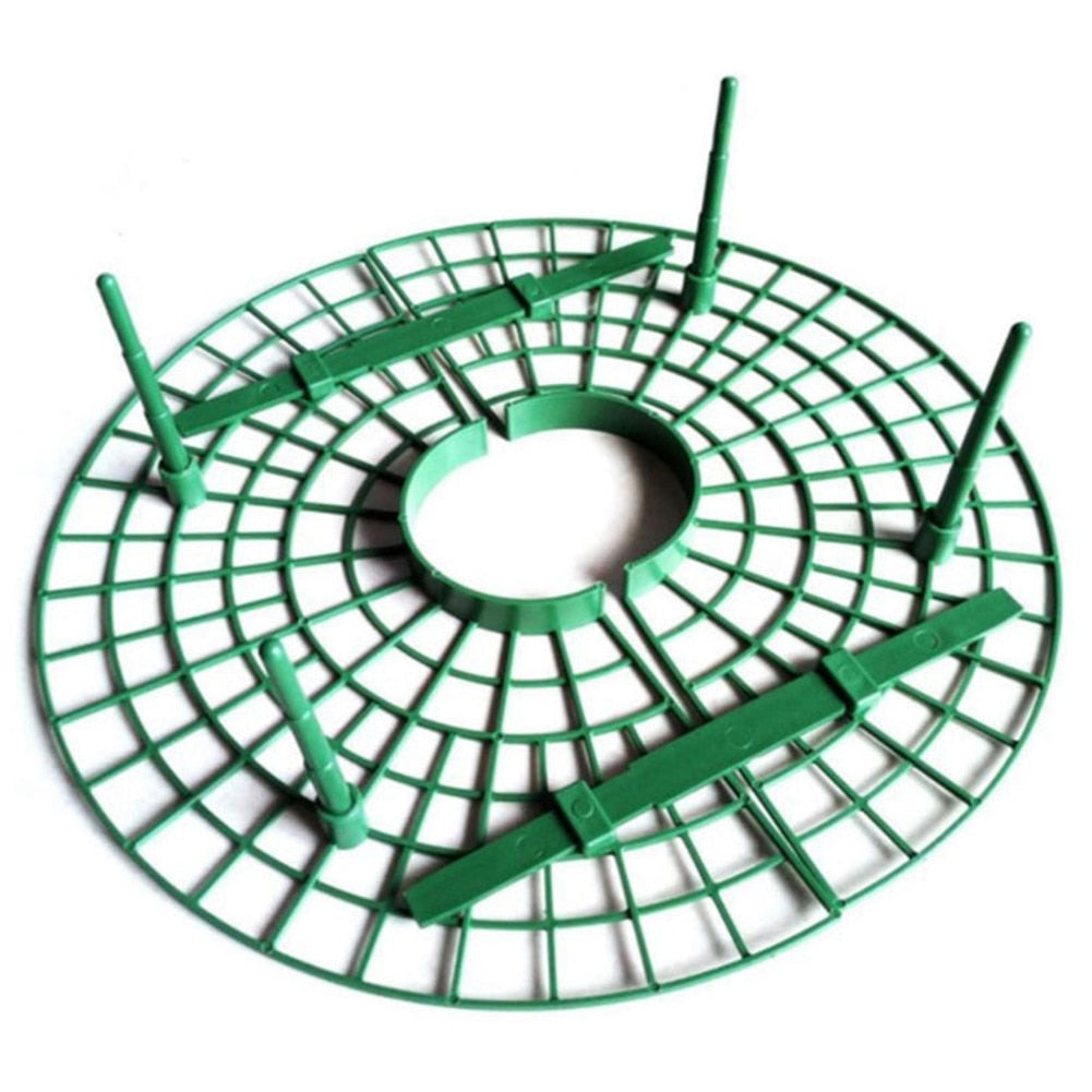 Strawberry Support Plastic Plant Frame 30cm by HitMyNeed