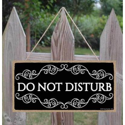 Vintage Do Not Disturb Door Sign, 10 x 5 Inch by HitMyNeed
