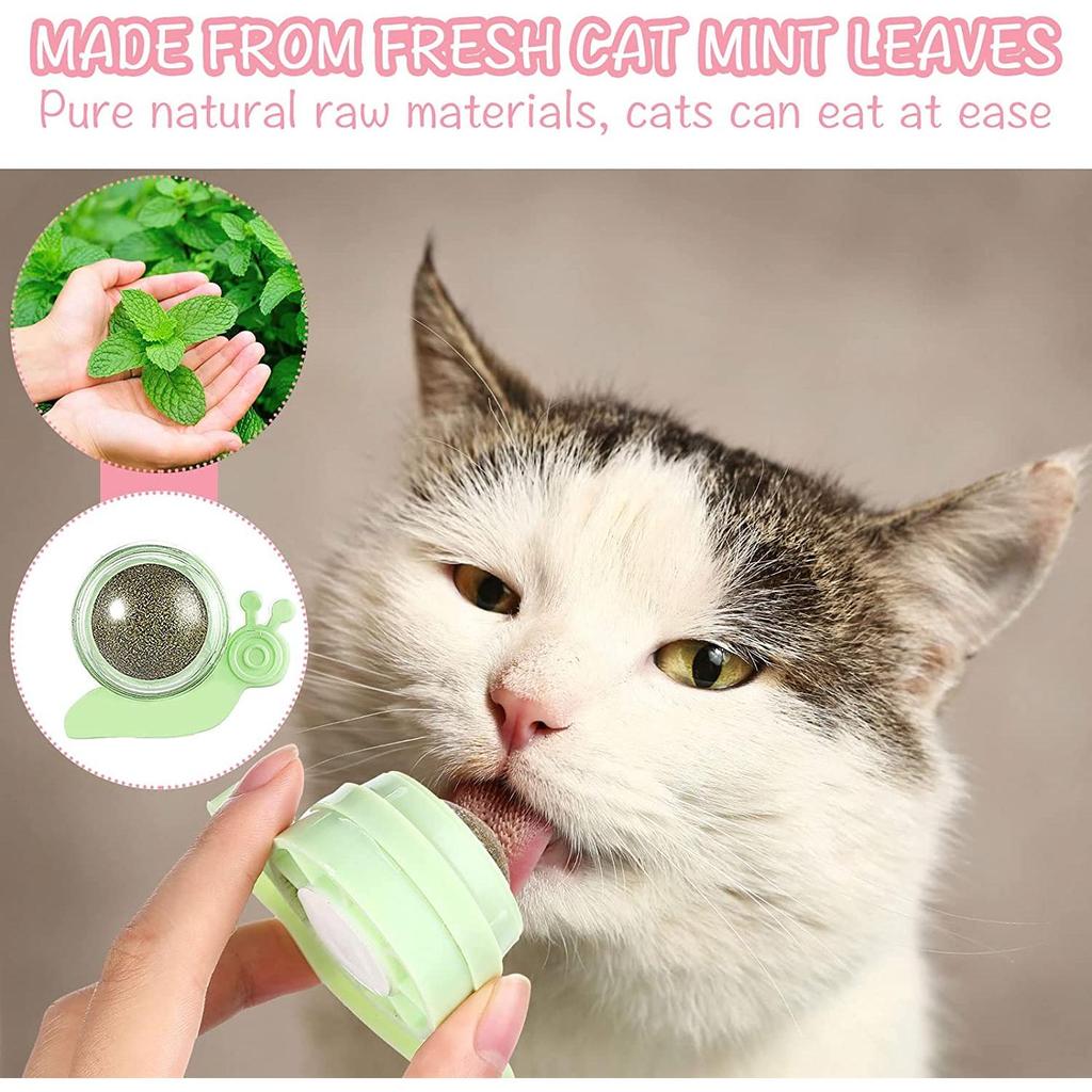 Wall Mounted Catnip Lick Ball Toy (2 Pack) by HitMyNeed