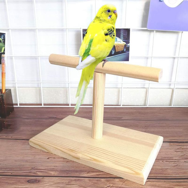 Wooden Parrot Training Perch Stand for Birds by HitMyNeed