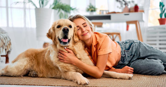 Essential Supplies for Pets: A Guide for Dogs, Cats, Birds, and Reptiles Article by HitMyNeed