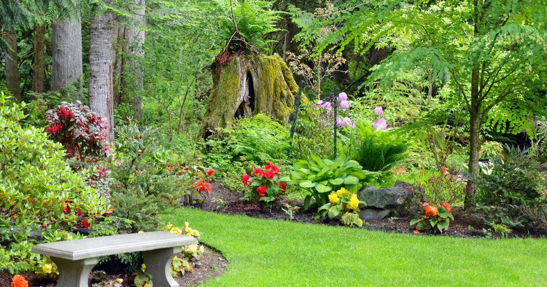 The Cultivated Garden: Strategies for Outdoor Living and Plant Care Article by HitMyNeed