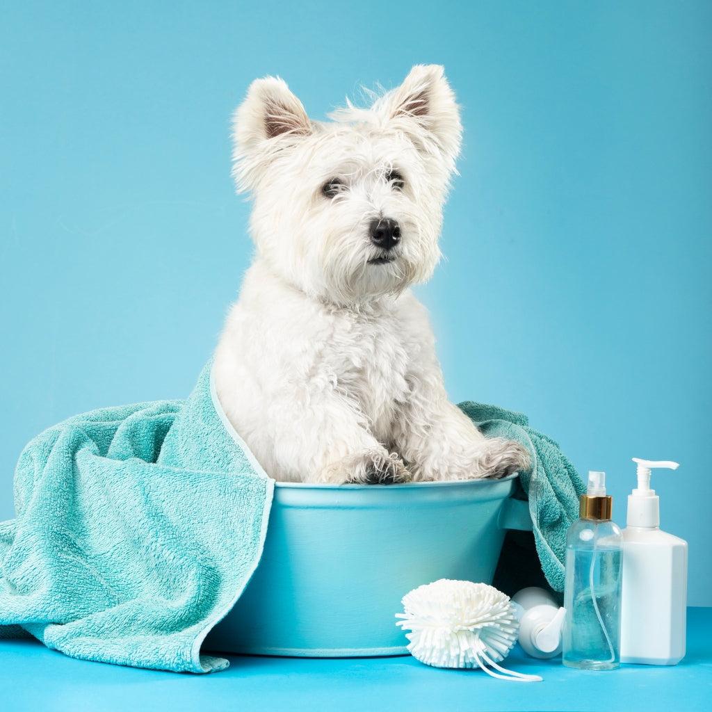 Pet Grooming Collection by HitMyNeed