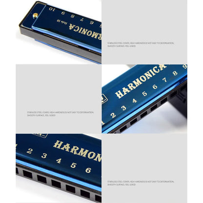 10-Hole Diatonic Harmonica in C with Case by HitMyNeed