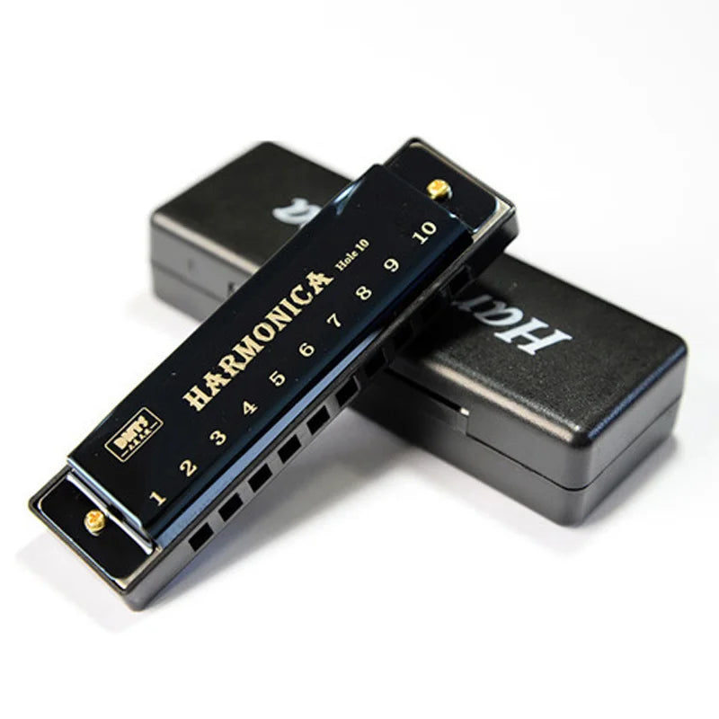 10-Hole Diatonic Harmonica in C with Case black by HitMyNeed