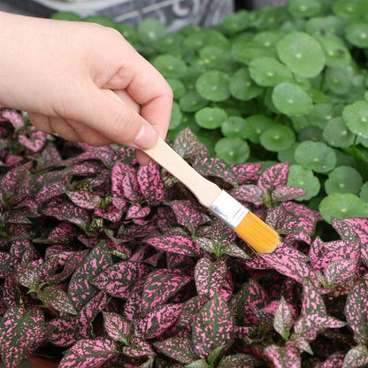 10-Piece Small Garden Hand Tool Set with Storage Bag by HitMyNeed