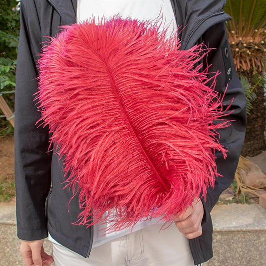 10pcs Colored Ostrich Feathers 15-45cm Decor Set red-wine 30-35cm-12-14inch by HitMyNeed