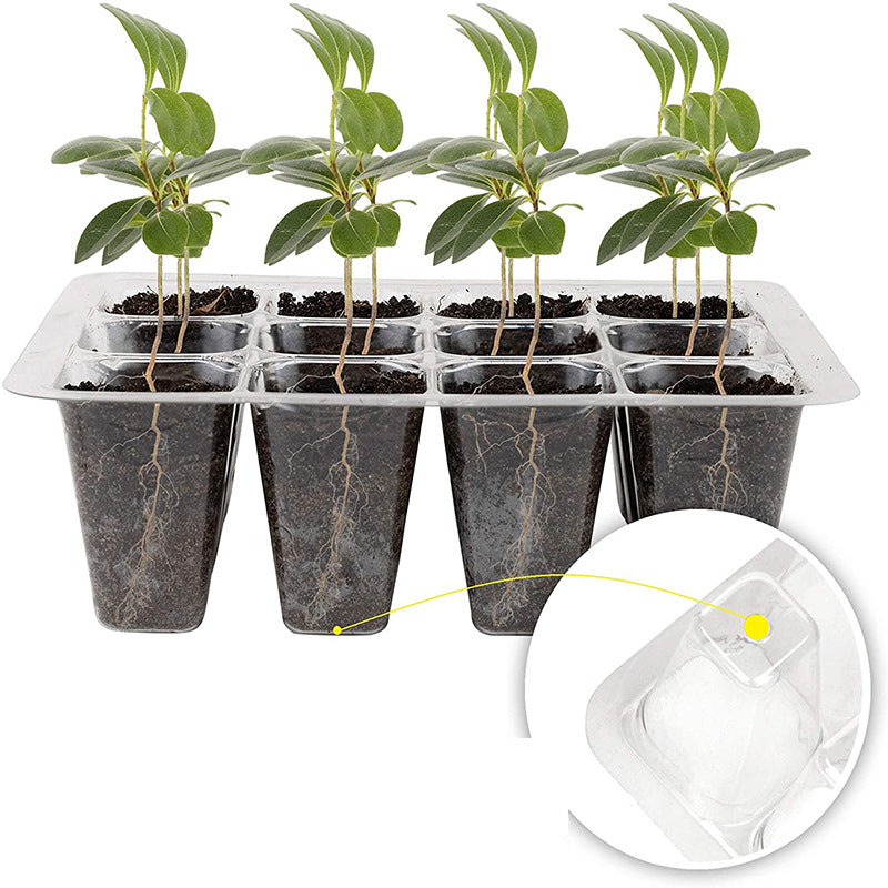 12-Hole Seed Germination Box with Adjustable Vent by HitMyNeed