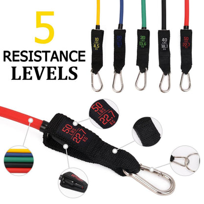 12-Piece Resistance Band Set with Handles & Door Anchor by HitMyNeed