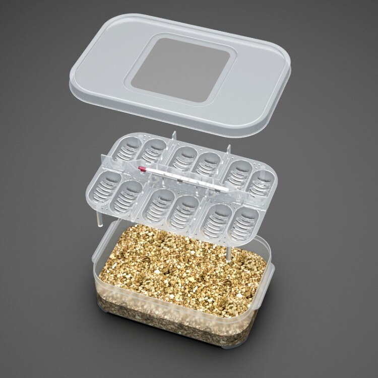 12-Slot Reptile Egg Incubator Box by HitMyNeed