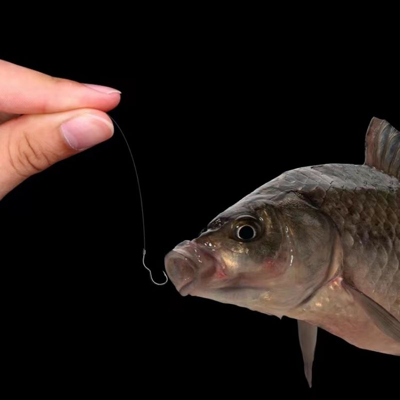 12pcs High Carbon Steel Barbed Carp Fishing Hooks size-12 by HitMyNeed