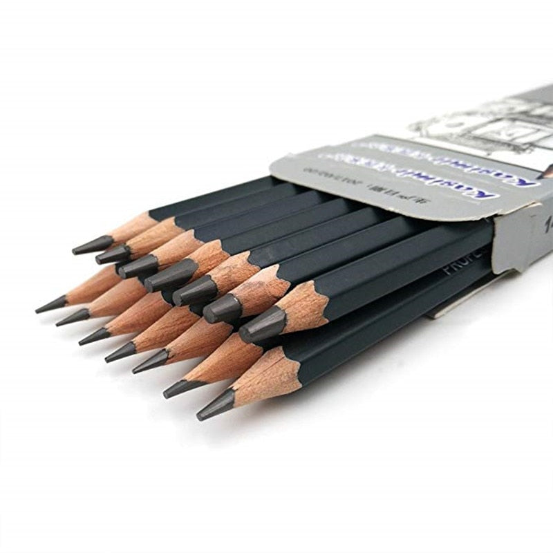 14-Piece Graphite Art Pencil Set for Drawing & Sketching by HitMyNeed
