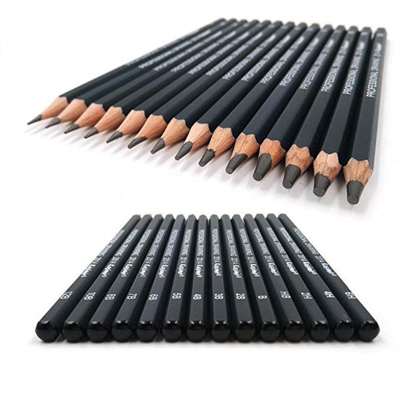 14-Piece Graphite Art Pencil Set for Drawing & Sketching by HitMyNeed