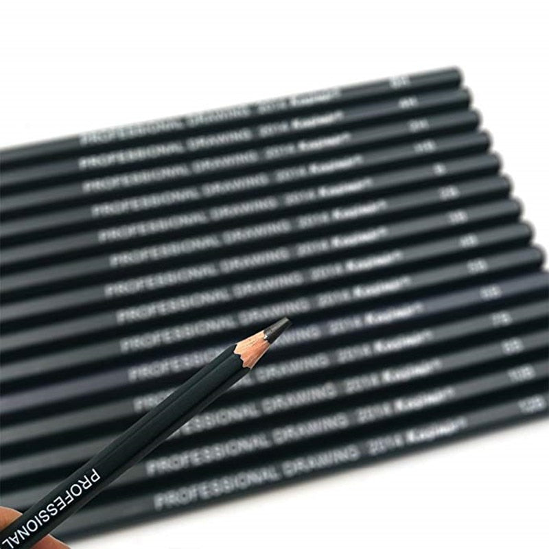 14-Piece Graphite Art Pencil Set for Drawing & Sketching by HitMyNeed