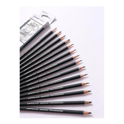14-Piece Graphite Art Pencil Set for Drawing & Sketching by HitMyNeed