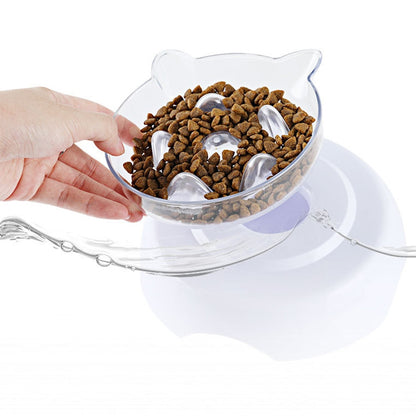 15° Raised Slow Feeder Cat Bowl with Stand by HitMyNeed