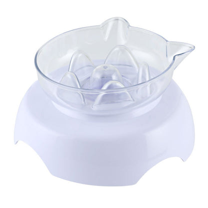 15° Raised Slow Feeder Cat Bowl with Stand by HitMyNeed