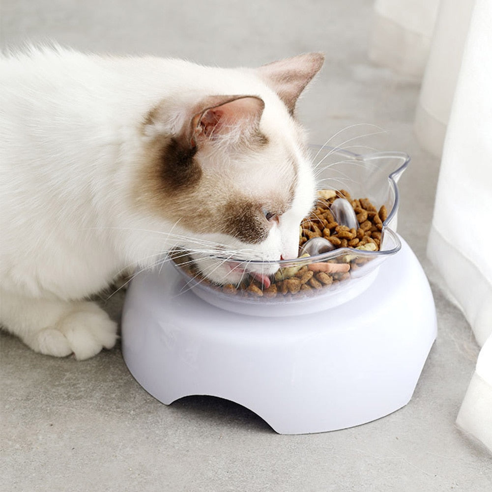 15° Raised Slow Feeder Cat Bowl with Stand by HitMyNeed