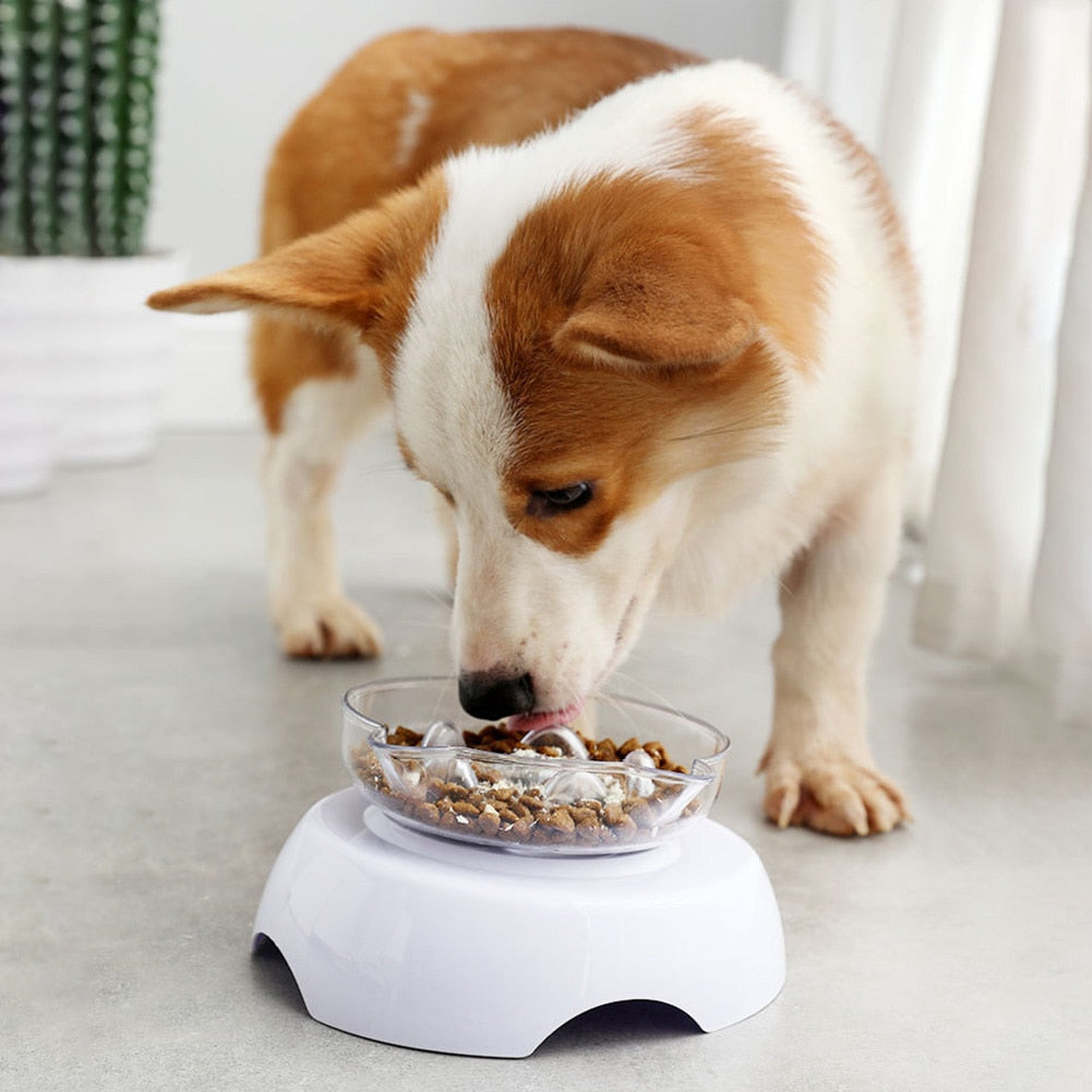 15° Raised Slow Feeder Cat Bowl with Stand by HitMyNeed