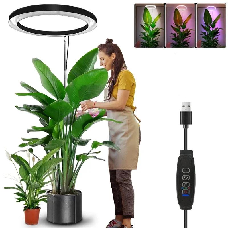165cm Adjustable Full Spectrum LED Ring Grow Light by HitMyNeed