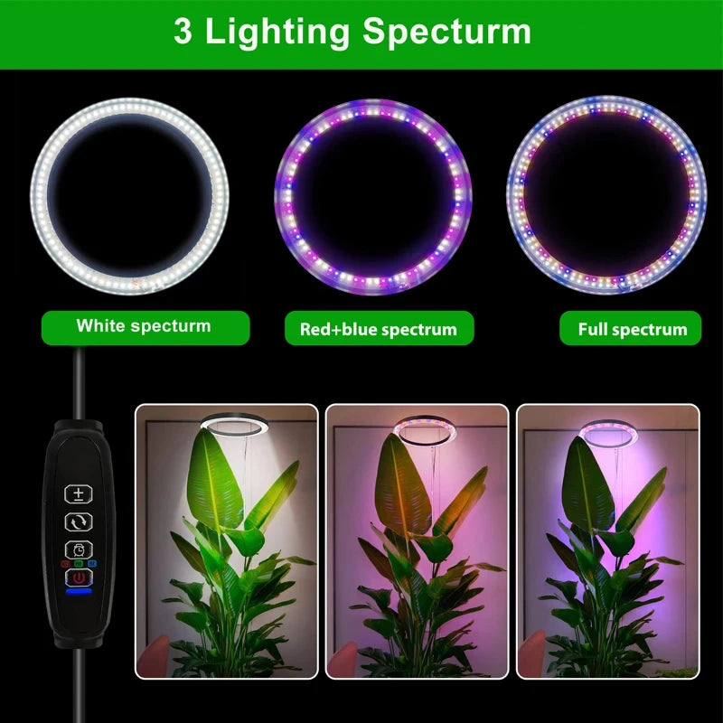 165cm Adjustable Full Spectrum LED Ring Grow Light by HitMyNeed
