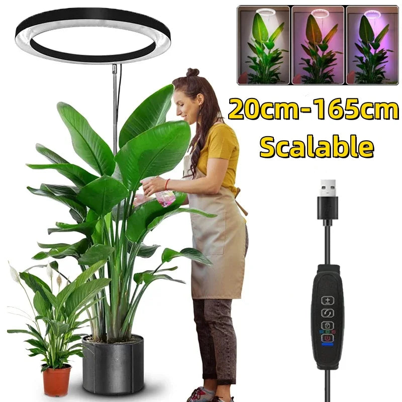 165cm Adjustable Full Spectrum LED Ring Grow Light by HitMyNeed