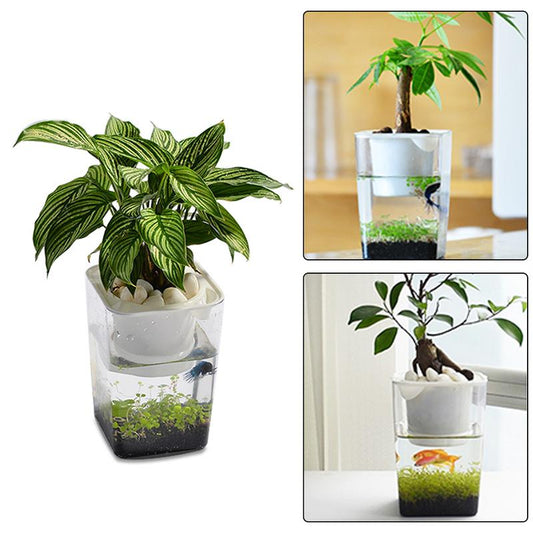 2-in-1 Fish Tank Planter Terrarium, 1.6L Desktop Tank by HitMyNeed